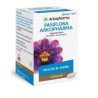 ARKOCAPSULAS PASSIFLORA 300 MG 84 CÁPSULAS DURAS