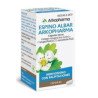 ARKOCÁPSULAS ESPINO ALBAR 350 MG 48 CÁPSULAS DURAS