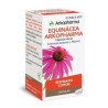 ARKOCÁPSULAS ECHINACEA 250 MG 50 CÁPSULAS DURAS