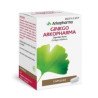 ARKOCAPSULAS GINKGO 180 MG 100 CÁPSULAS DURAS