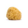 SUAVINEX ESPONJAS NATURALES