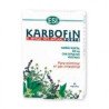 KARBOFIN FORTE 60 CAPSULAS