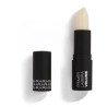 ROUGJ  BARRA DE LABIOS PRIMER VOLUMINIZADOR